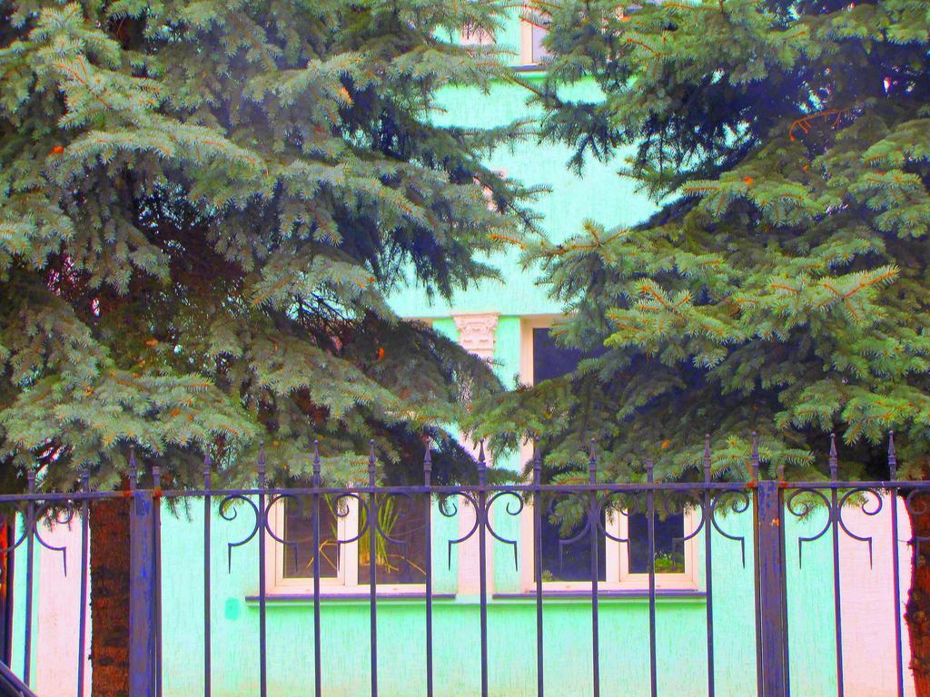 Guest House On Kaldaiakova 38 Almatý Exterior foto